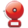 RINGING ALARM