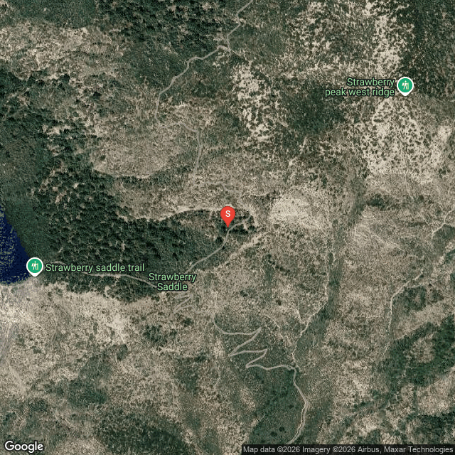 SCM Incident Map